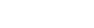 Spotnic
